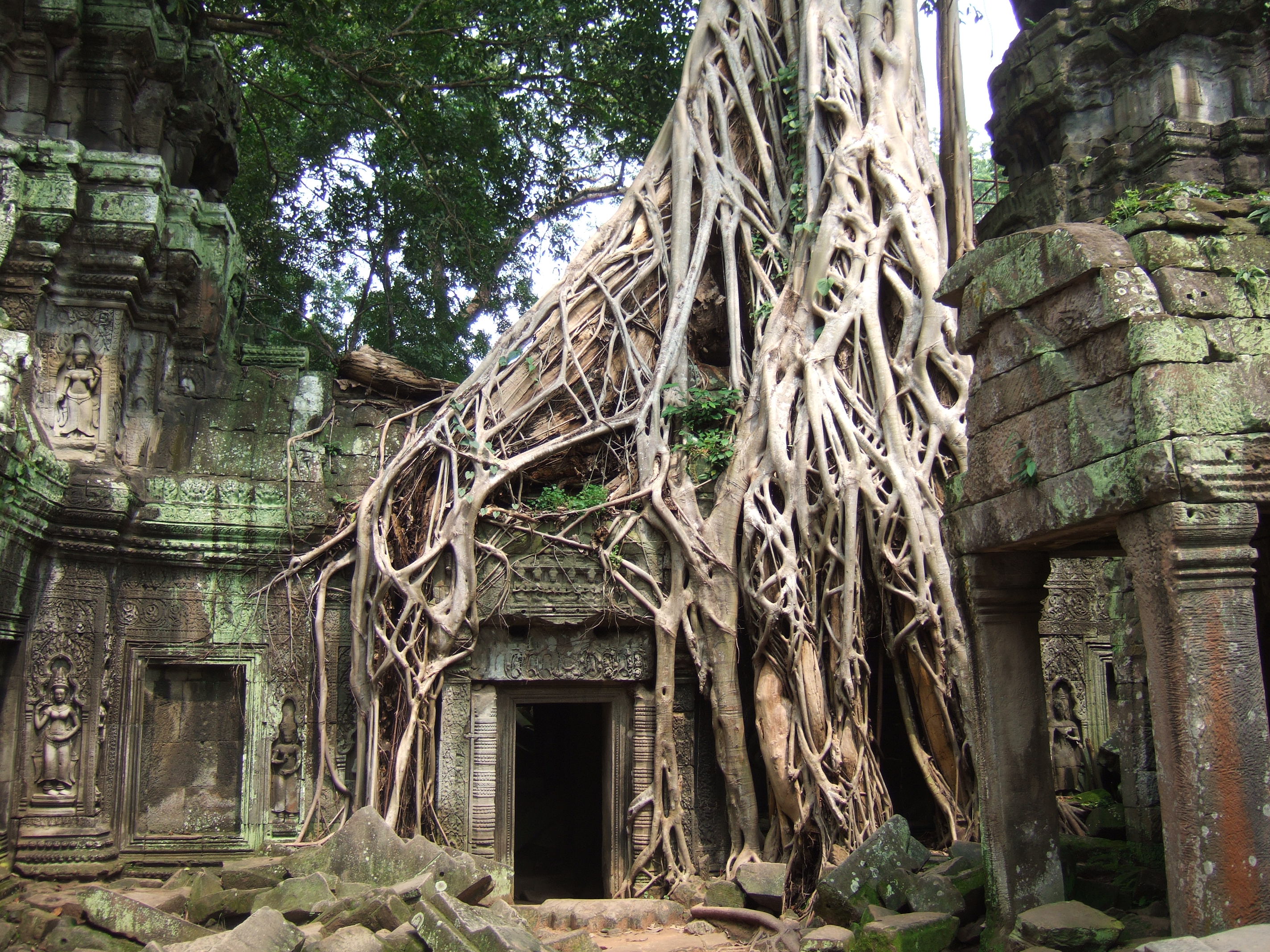 Angkor, Cambodia